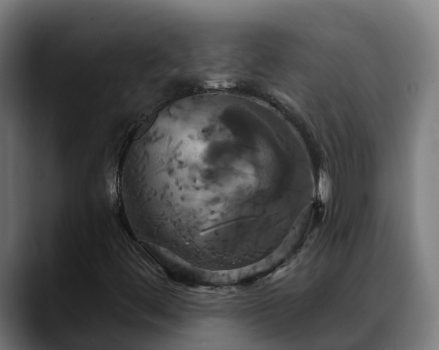 X0000088471444200705291540