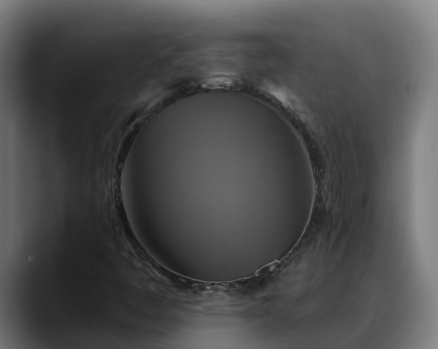 X0000088471445200705291540