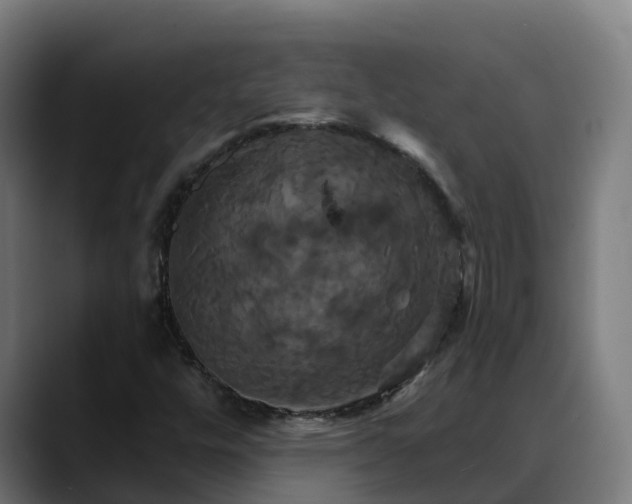 X0000088471448200705291540