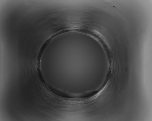 X0000088471449200705291540