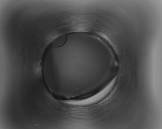 X0000088471450200705291540
