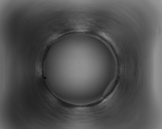 X0000088471451200705291540