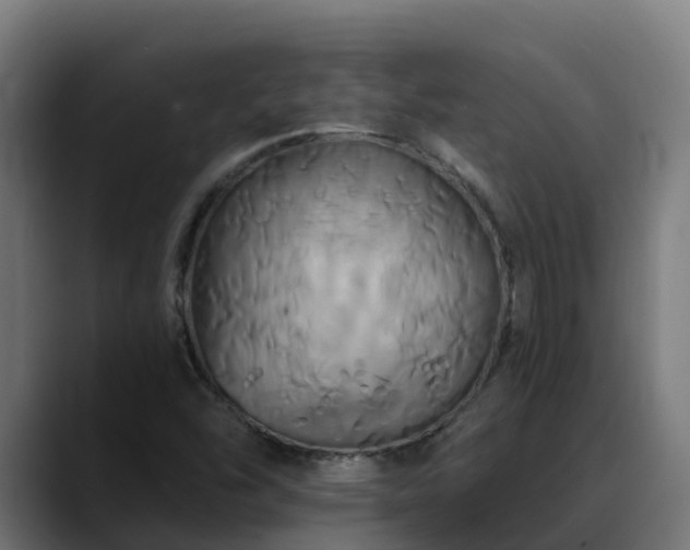 X0000088471454200705291540
