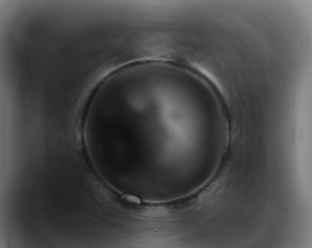 X0000088471455200705291540