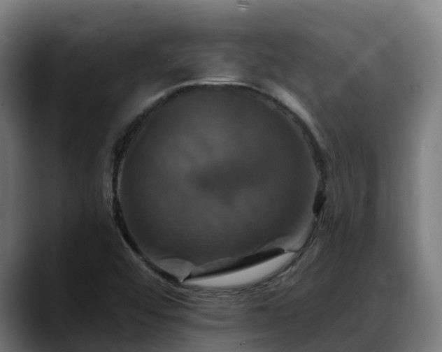 X0000088471456200705291540