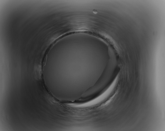 X0000088471457200705291540