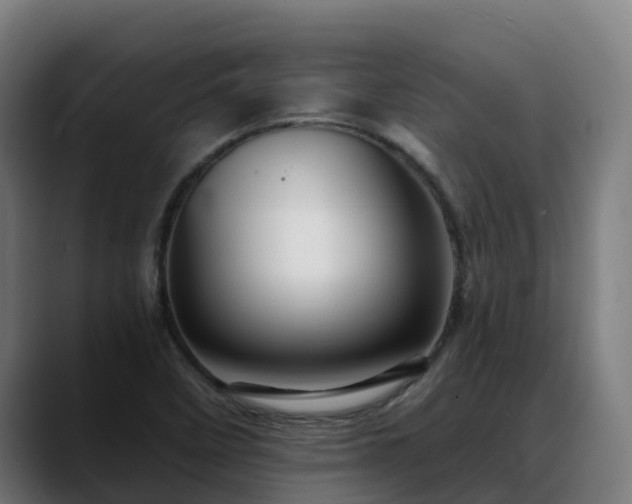 X0000088471458200705291540