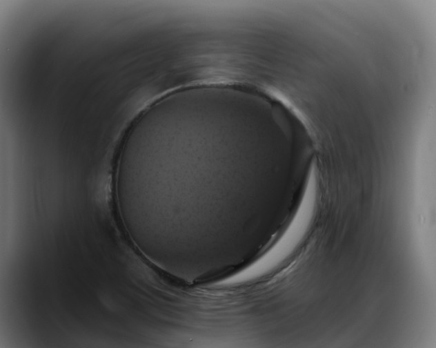 X0000088471459200705291540