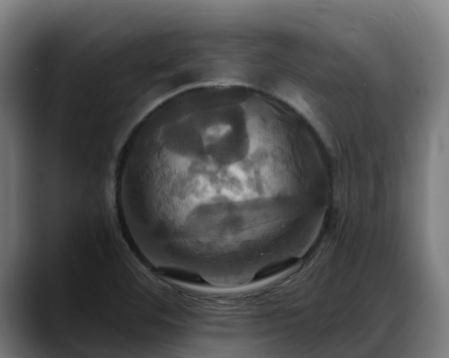 X0000088471460200705291540