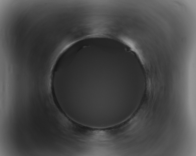 X0000088471463200705291540