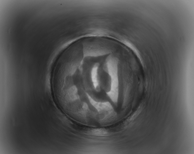 X0000088471464200705291540