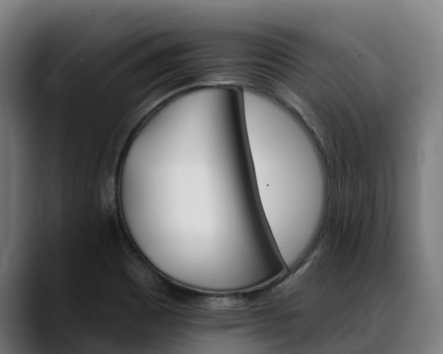 X0000088471465200705291540