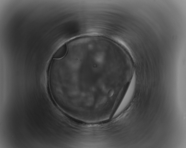 X0000088471467200705291540
