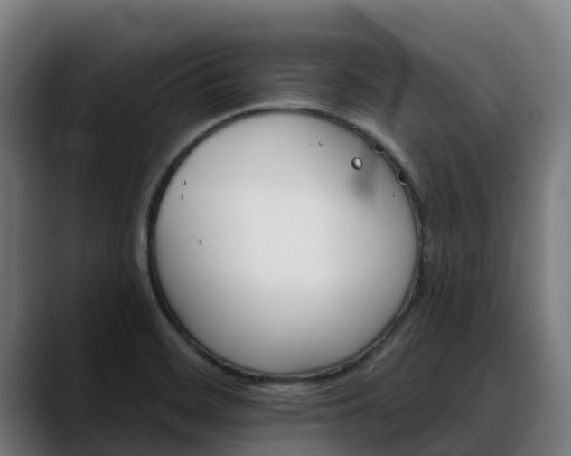 X0000088471468200705291540