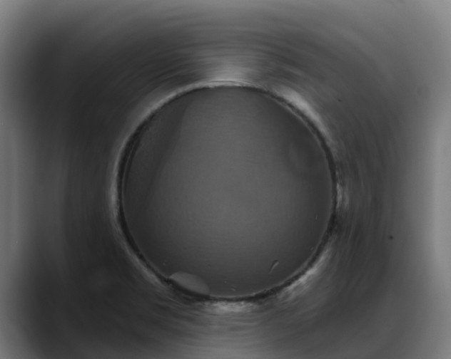 X0000088471469200705291540