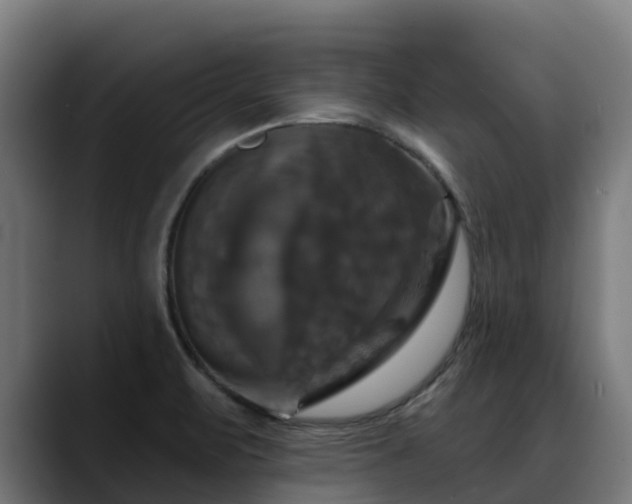 X0000088471471200705291540