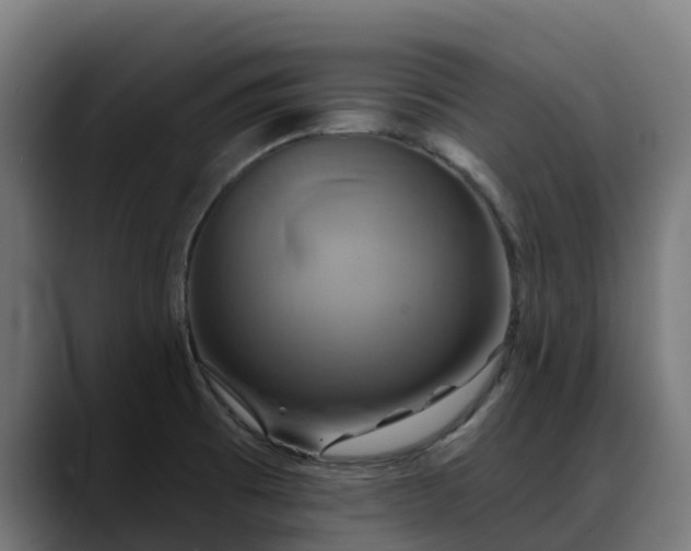X0000088471473200705291540