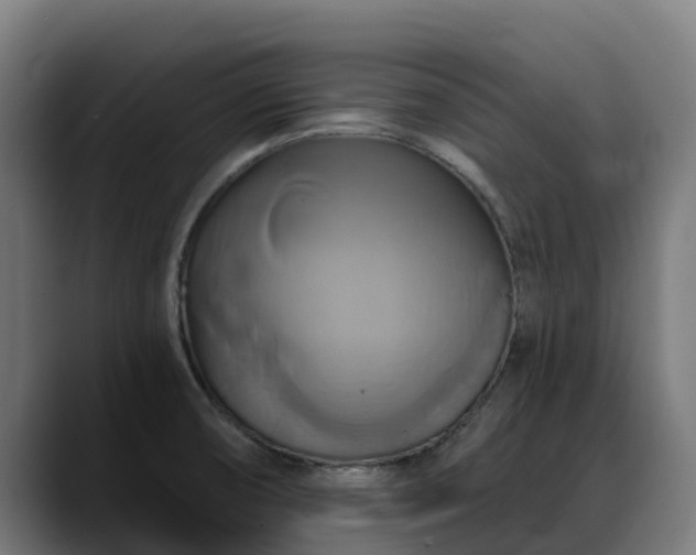 X0000088471474200705291540