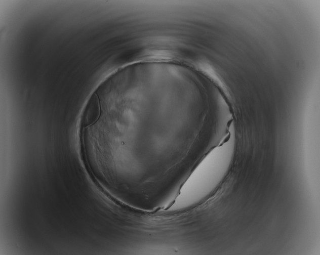 X0000088471475200705291540