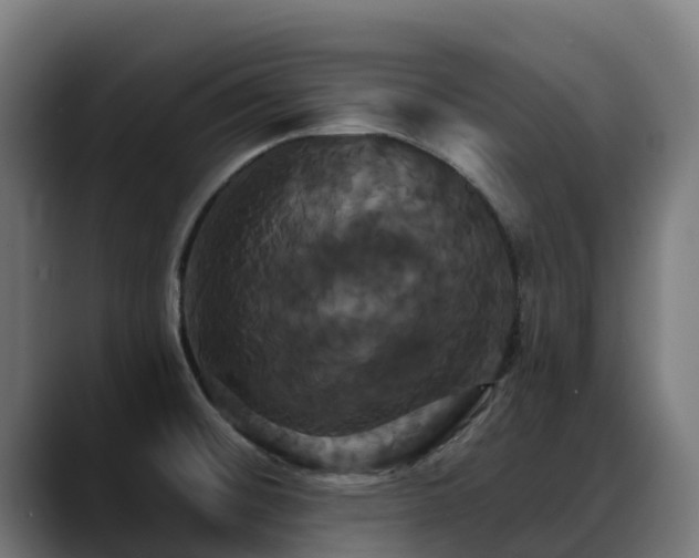 X0000088471476200705291540