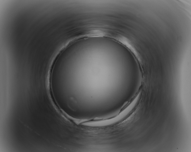X0000088471477200705291540