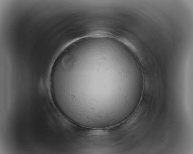 X0000088471478200705291540