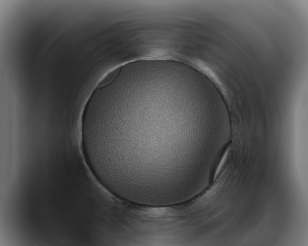X0000088471479200705291540