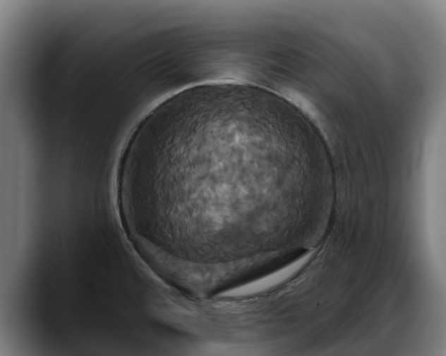 X0000088471480200705291540