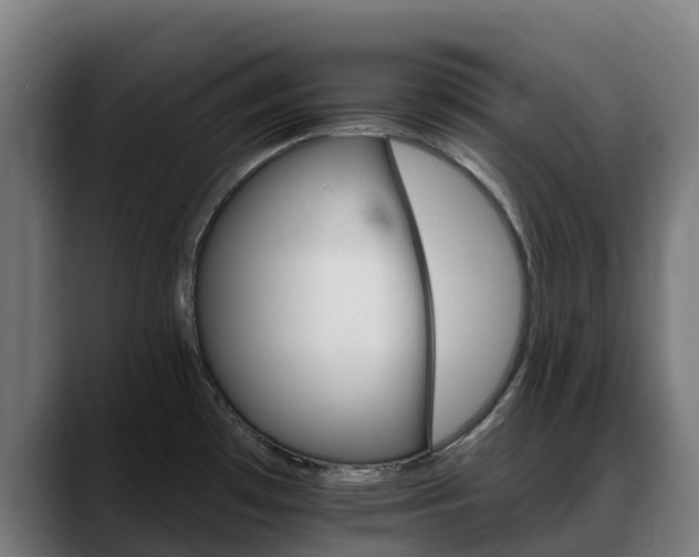 X0000088471481200705291539