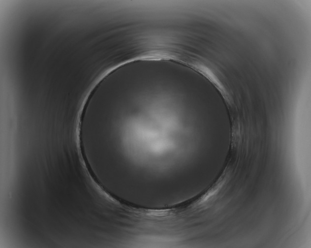 X0000088471484200705291539
