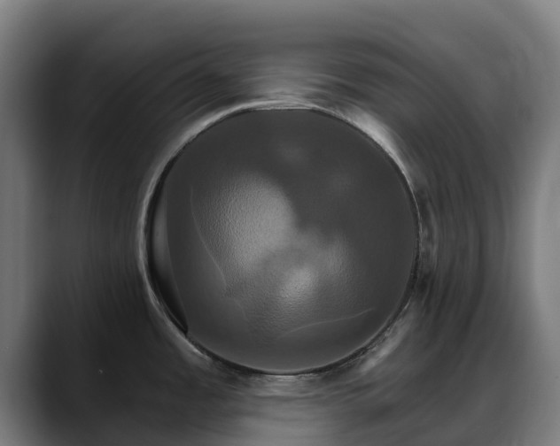 X0000088471485200705291539