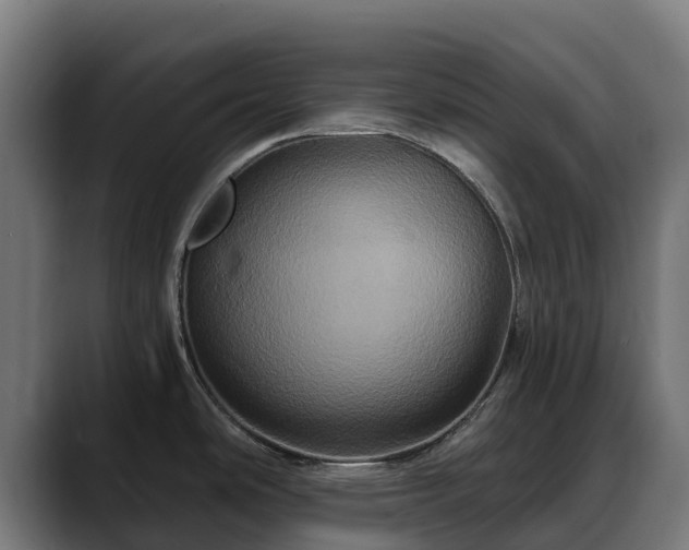 X0000088471486200705291539