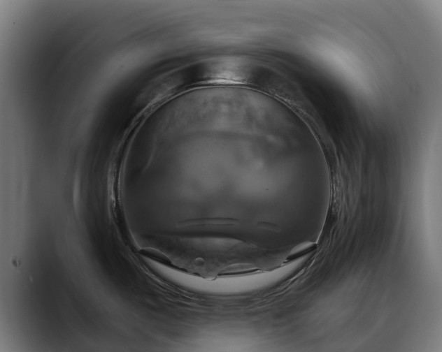 X0000088471487200705291539