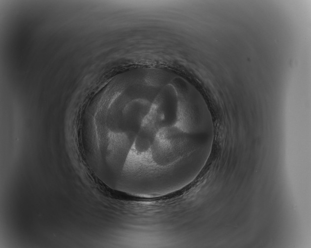 X0000088471489200705291539
