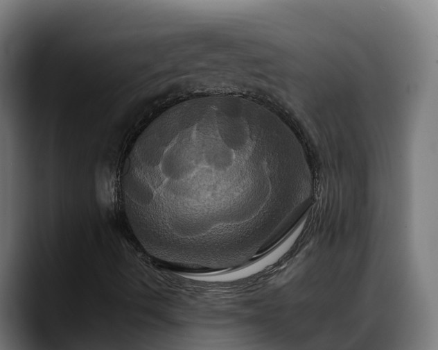 X0000088471490200705291539
