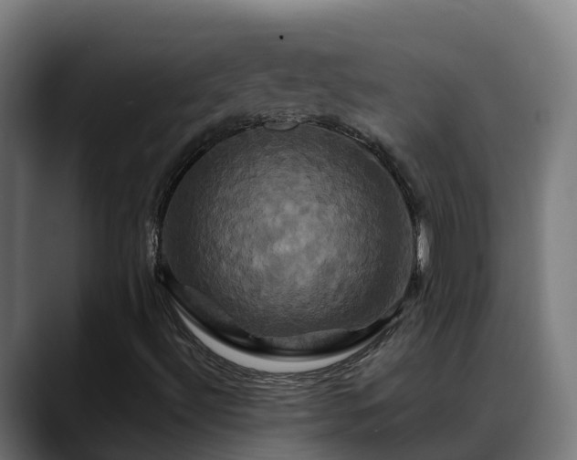 X0000088471492200705291539
