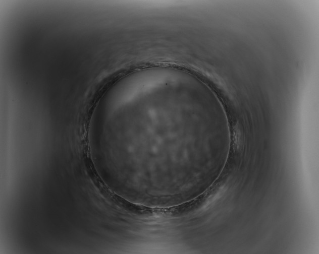 X0000088471494200705291539