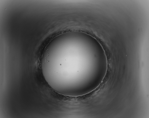 X0000088471495200705291539
