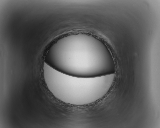 X0000088471496200705291539