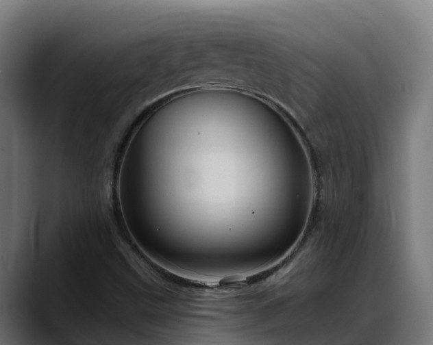 X0000088471499200705291539