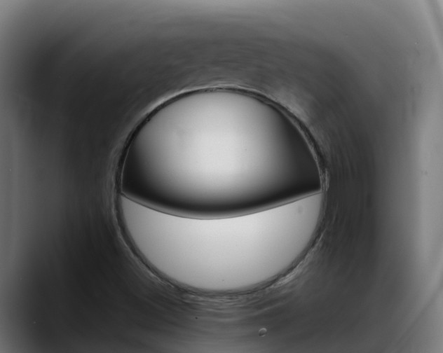 X0000088471500200705291539