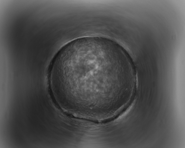 X0000088471501200705291539