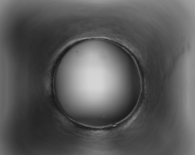 X0000088471502200705291539