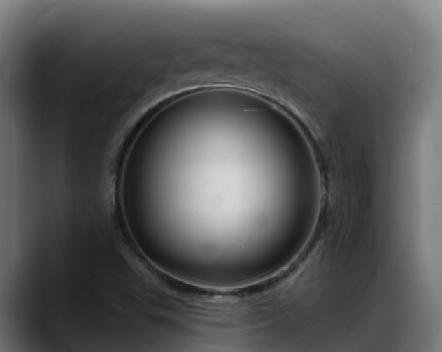 X0000088471503200705291539