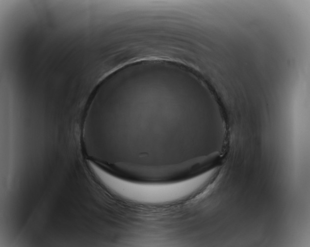 X0000088471505200705291539
