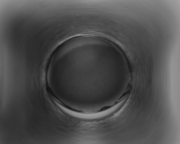 X0000088471506200705291539