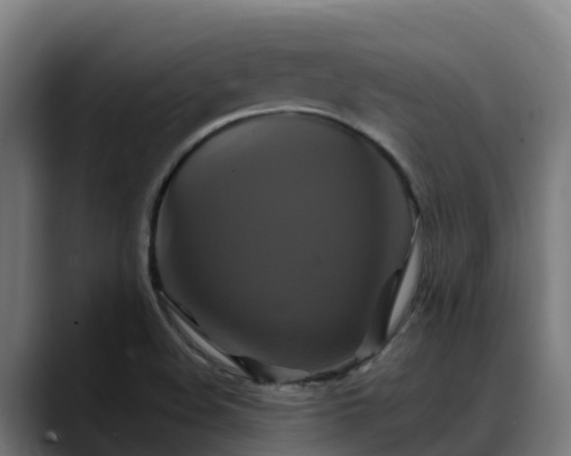 X0000088471508200705291539