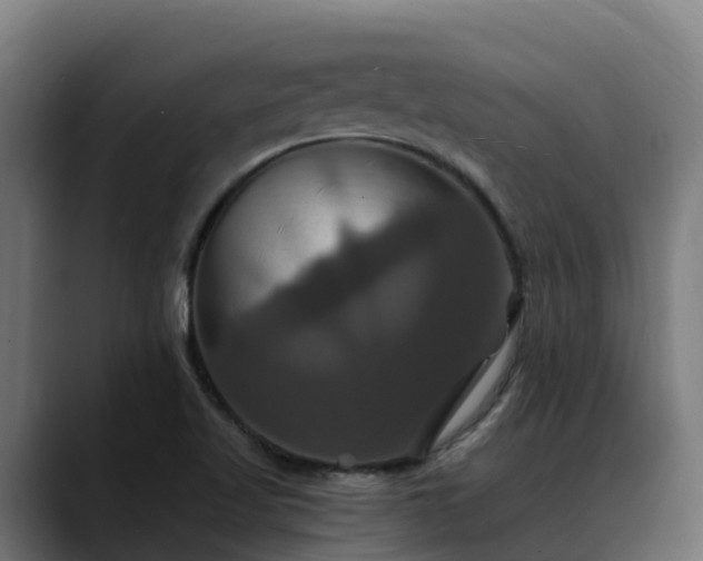 X0000088471509200705291539