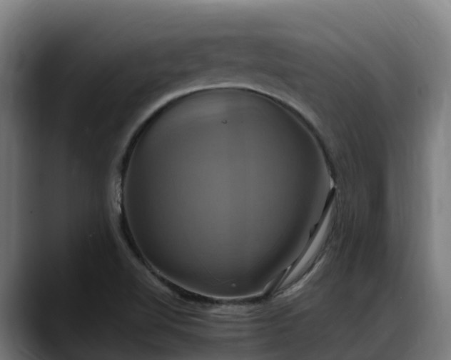 X0000088471510200705291539