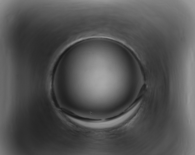 X0000088471511200705291539